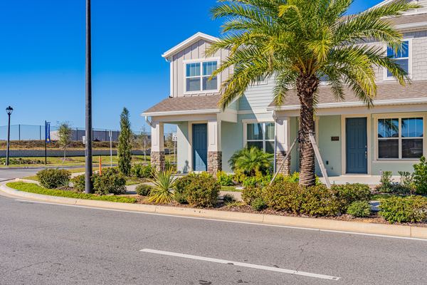 Two-story home behind a tall palm on a corner street in Hamlin