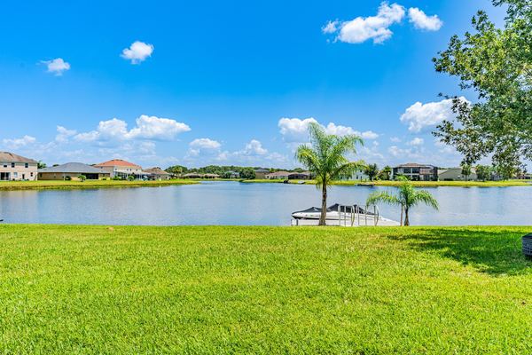 Lakefront lawn with a dock and a palm tree in Kissimmee